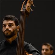 Contrabajo, bajo eléctrico; jazz, música moderna e improvisación; lenguaje musical, armonía y análisis